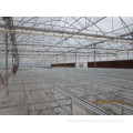 Commercial Greenhouses for Hydroponics Aquaponics and Aeroponics